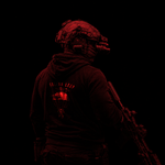 Falcon Leap Hoodie